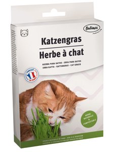 HIERBA GATERA 100 GR.